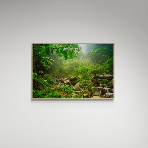 لوحة فنية غابة - صورة (107)