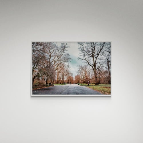 لوحة فنية حديقة - صورة (36)