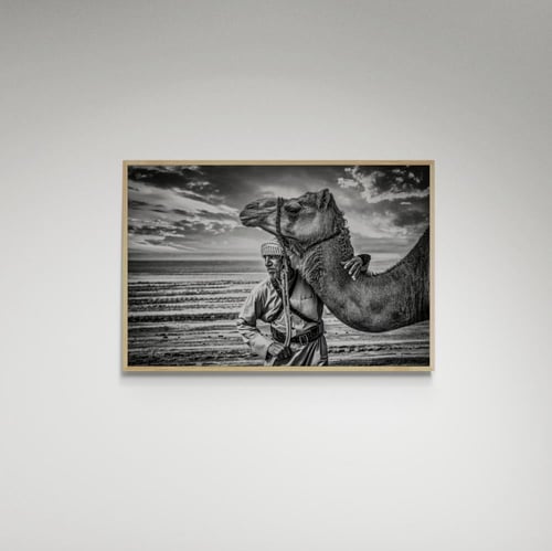 لوحة فنية جمل والراعي - صورة (52)