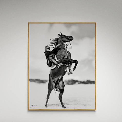 لوحة فنية خيل مع فارس خيال- صورة (117)