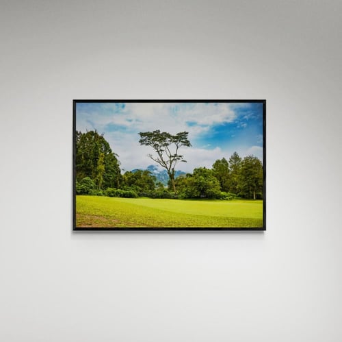 لوحة فنية حديقة - صورة (125)