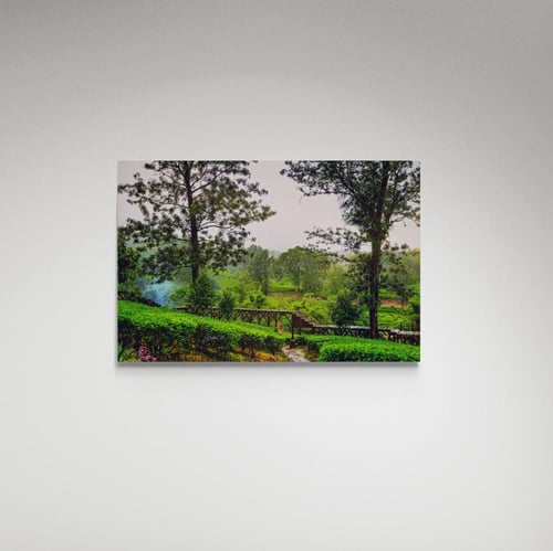 لوحة فنية غابة - صورة (113)