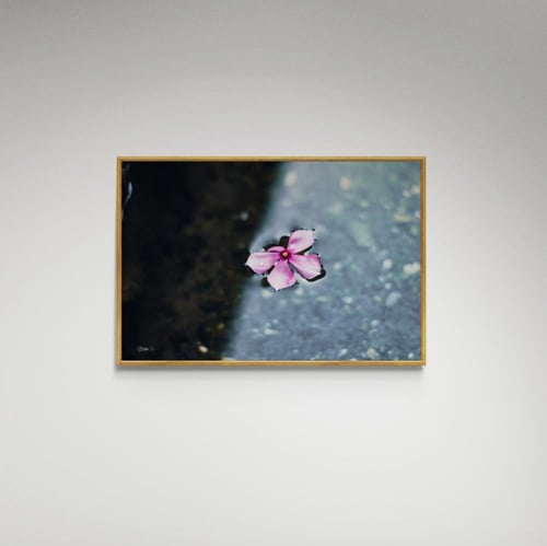 لوحة فنية وردة - صورة (14)