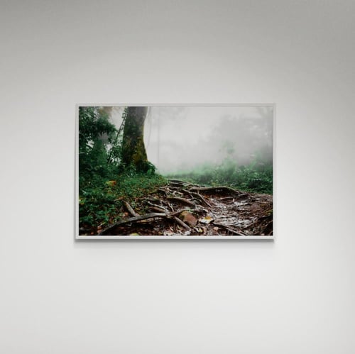 لوحة فنية غابة - صورة (106)