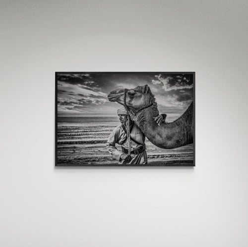لوحة فنية جمل والراعي - صورة (52)