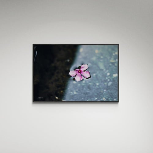 لوحة فنية وردة - صورة (14)