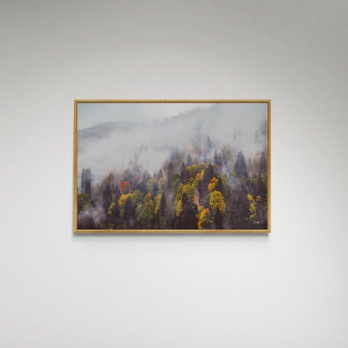 لوحة فنية ضباب وأشجار صورة - (4)