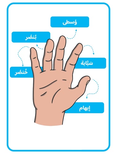 المحافظة على الأيدي