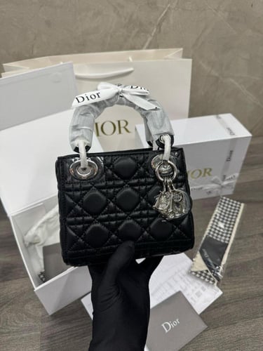 شنطة ديور ماستر