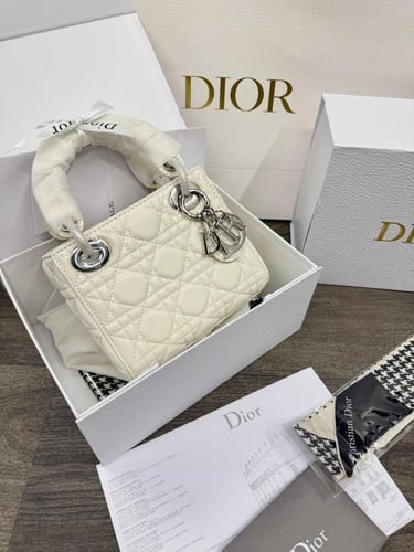 شنطة ديور ماستر