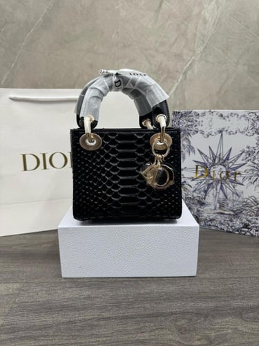 شنطة ديور ماستر