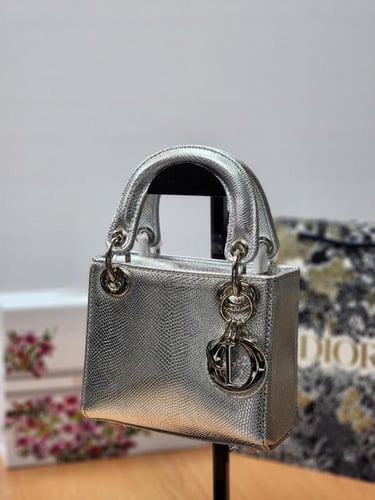 حقيبة ديور ماستر