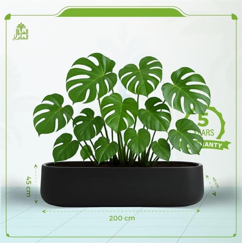 حوض فايبر كيرفي