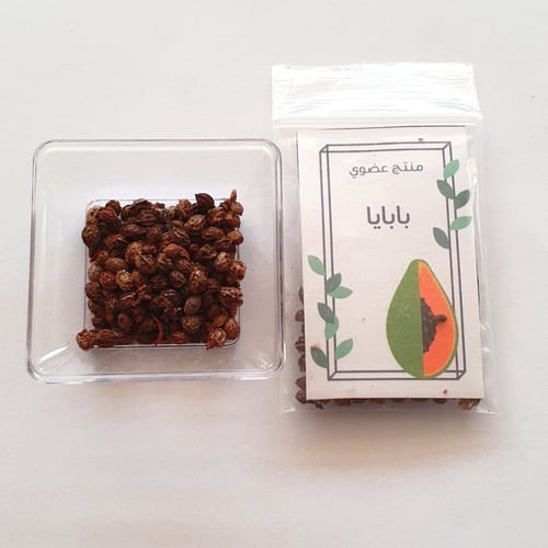 بذور بابايا (عضوي)
