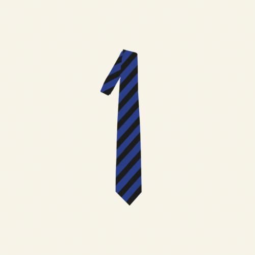 BLACK & BLUE STRIPED NECKTIE