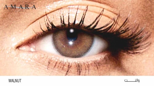 عدسات جورجينا من امارا - والنت Amara Walnut (Georg...