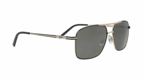 نظارة شمسية ماركة إن فيو 2colors - Invu 1203