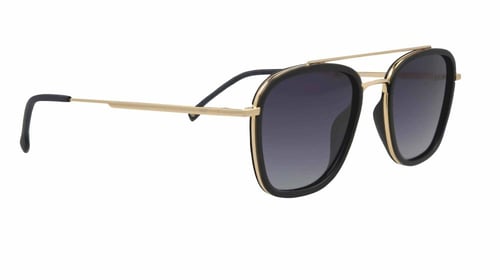 نظارة شمسية ماركة تروي 2317 Troy