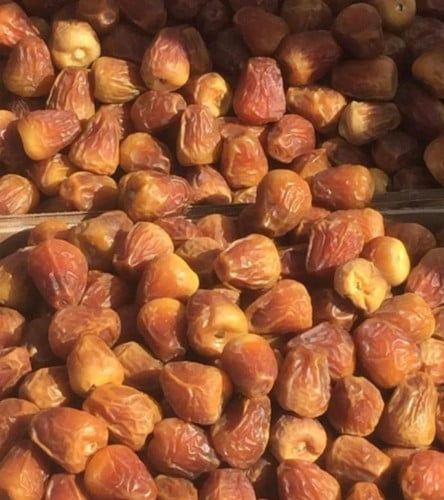 تمر سكري القصيم جالكسي | Qassim Galaxy Sugar Dates
