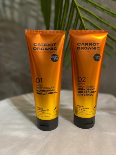 Shampoo and conditioner with carrot