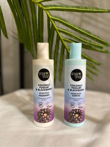 Shampoo and conditioner coconut and blackberry