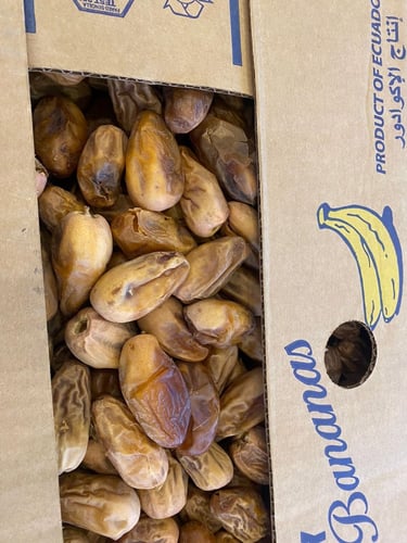 تمر خلع فاخر فذ هليل 20 كيلو