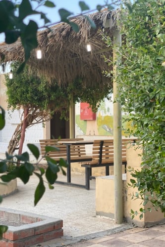 شاليه المسك ( بيشة ) جنوب المدينة قرب عمائر الشاعر