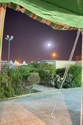 شاليه المسك ( بيشة ) جنوب المدينة قرب عمائر الشاعر