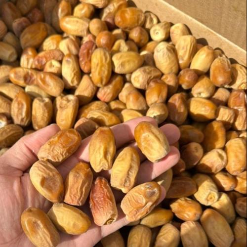 جسب قصب كسب تمر (بديرة) لين طري 2 كيلو جرام