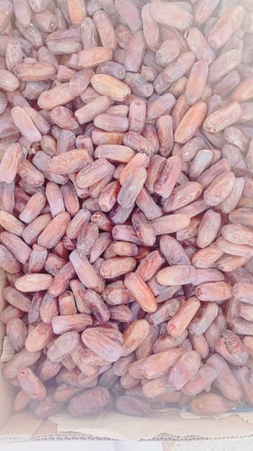 تمر برني فاخر بطعمه الفريد والمميز حبة وسط 750