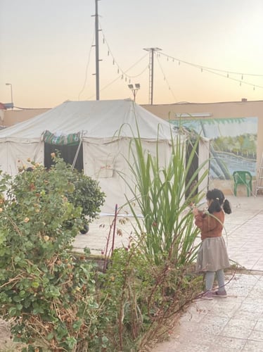 شاليه المسك ( بيشة ) جنوب المدينة قرب عمائر الشاعر