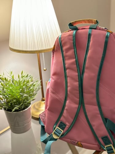 حقيبة مدرسية اميرات