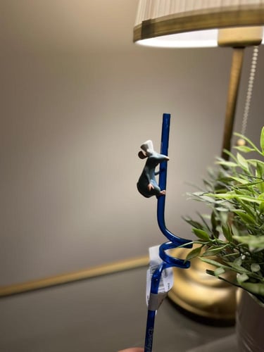 سترو الفار الطباخ