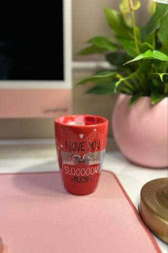 كوب فلاش زوتربوليس