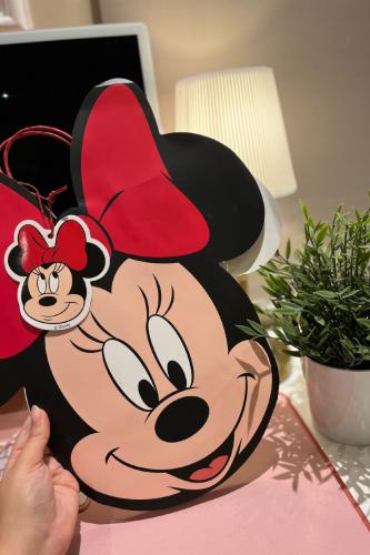 Mini Mouse bag