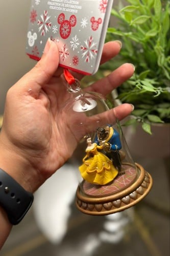 تعليقة الجميلة والوحش