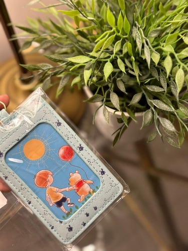 كارد هولدر ويني ذا بو