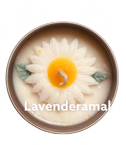 شمعة دوار الشمس