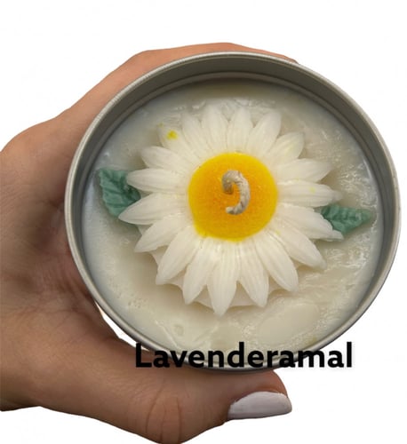 شمعة دوار الشمس