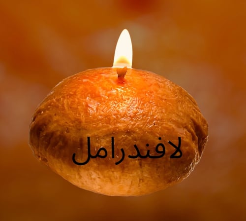 كليجا لافندر أمل