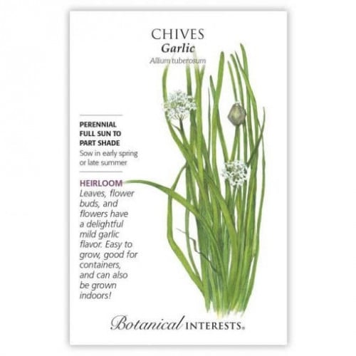 بذور ثوم معمر - Garlic Chives Seeds