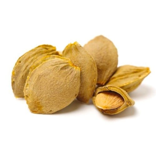 بذور نوى المشمش