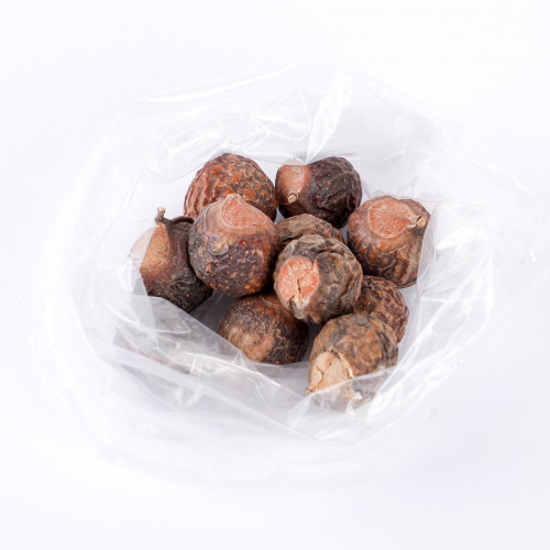 الريثا الهندية للشعر