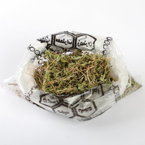 زعتر بري شمالي