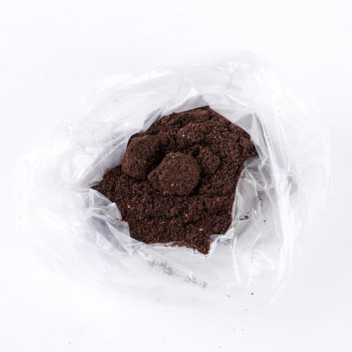 ليمون أسود مطحون | لومي