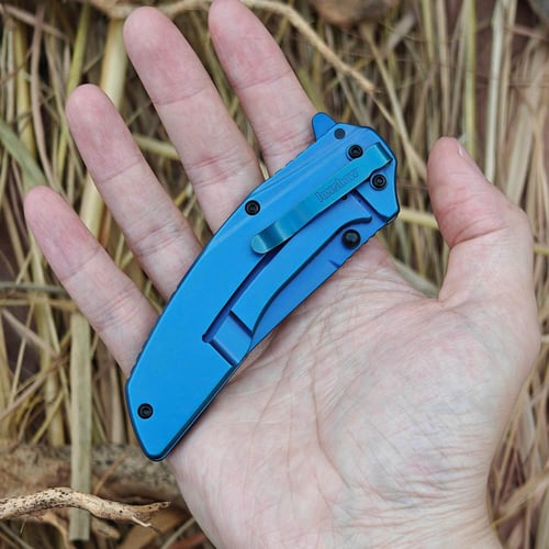 مطوية بلو | blue