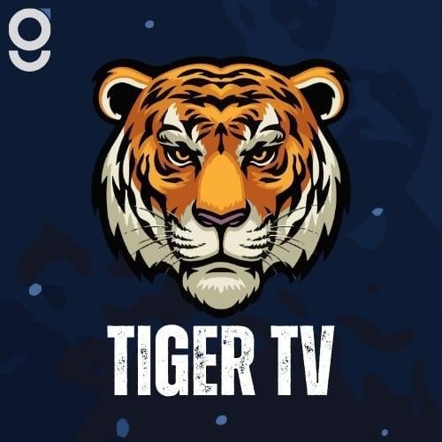 اشتراك تايقر 6 شهور
