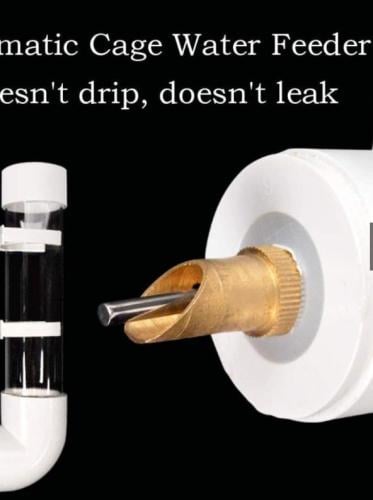 مشربيه طيور كبيره