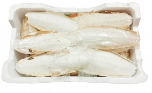 فلينه عضم حبار حجم وسط حبات جامبو