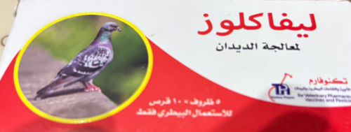 ليفاكلوز لمعالجه الديدان شريط